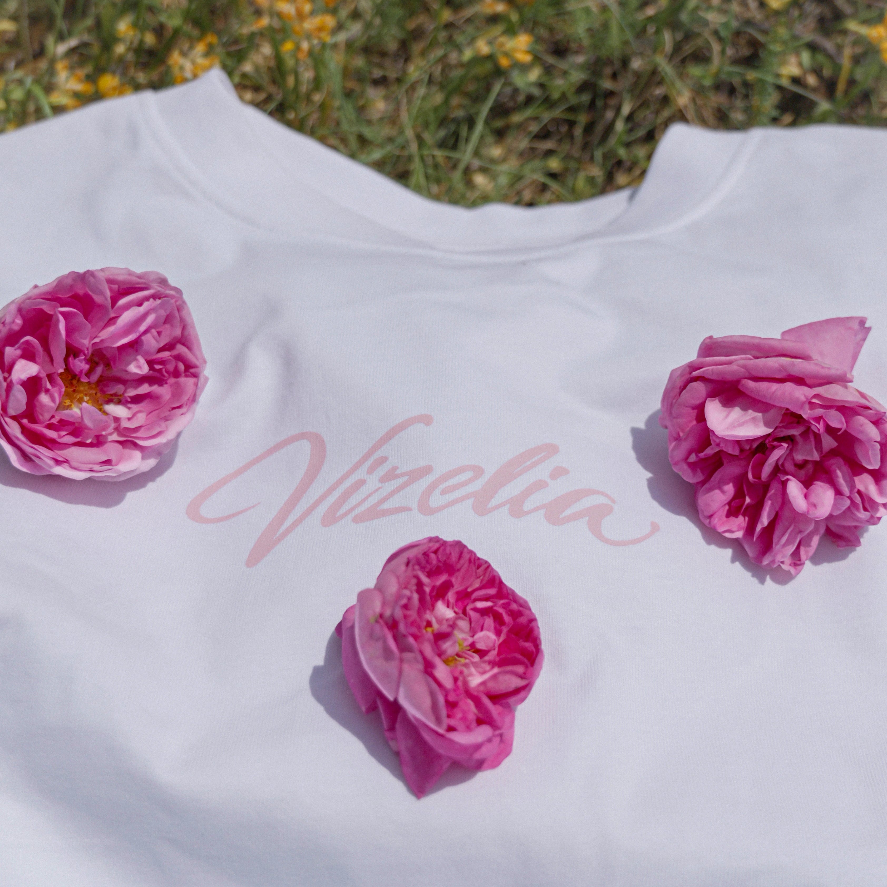 T-shirt 333 Vizelia DROP 001 — vue avant, coloris rose, coton 240 GSM oversize